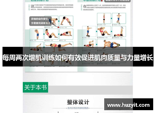 每周两次增肌训练如何有效促进肌肉质量与力量增长