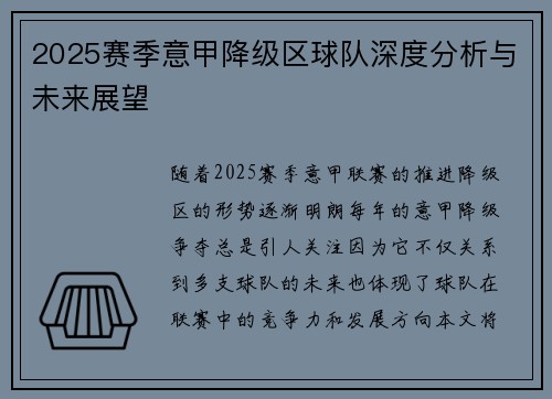 2025赛季意甲降级区球队深度分析与未来展望