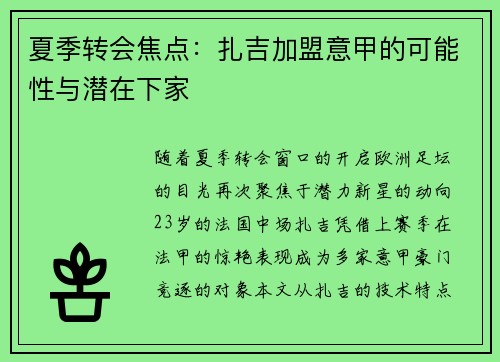 夏季转会焦点：扎吉加盟意甲的可能性与潜在下家