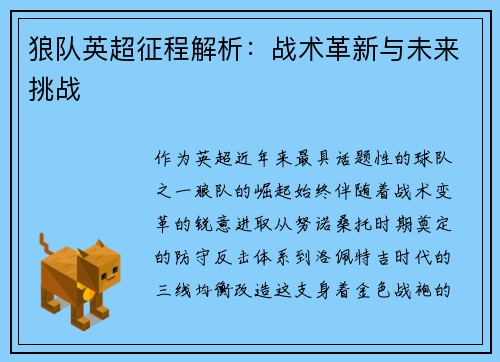 狼队英超征程解析：战术革新与未来挑战